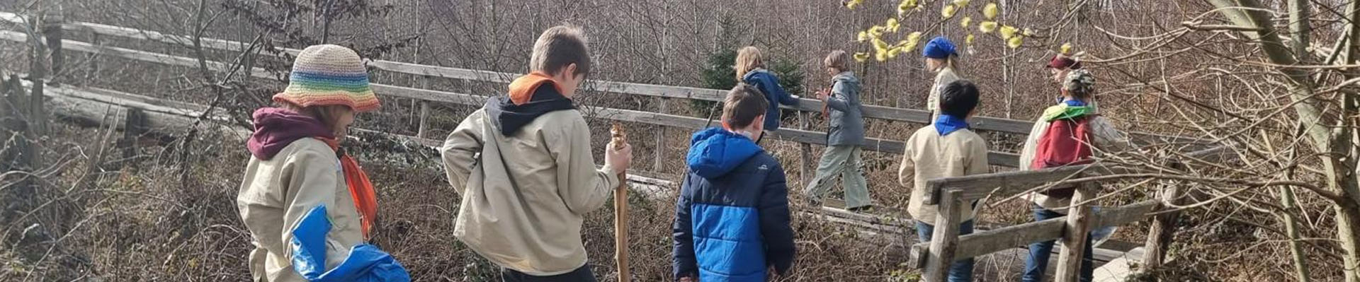 Wölflinge beim wandern