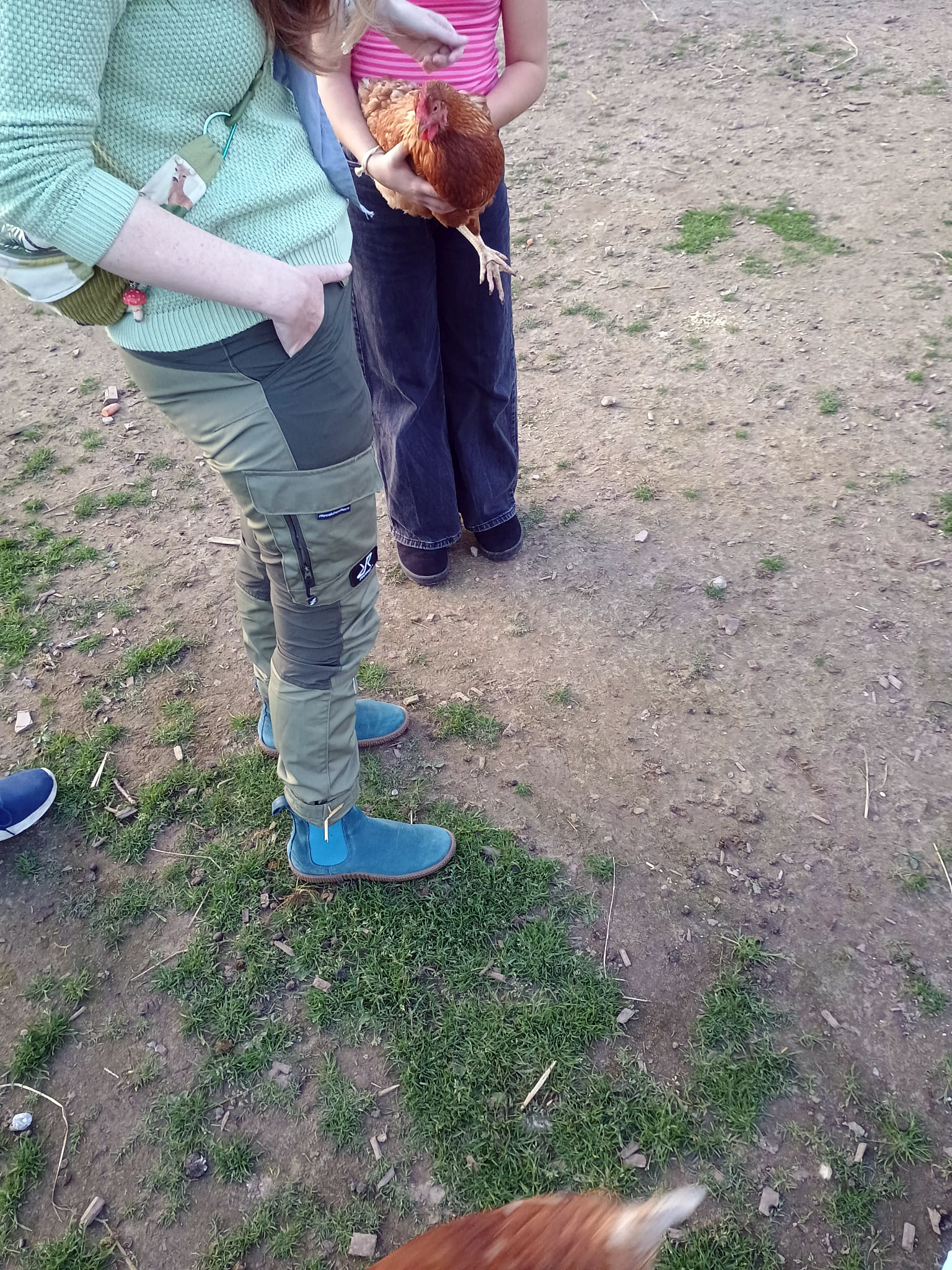 Ein Kind hält ein braunes Huhn im Arm