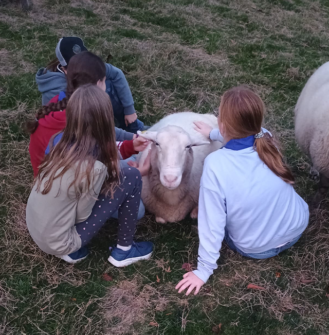 Kinder sitzen im Gras und streicheln die Kuschelschafe