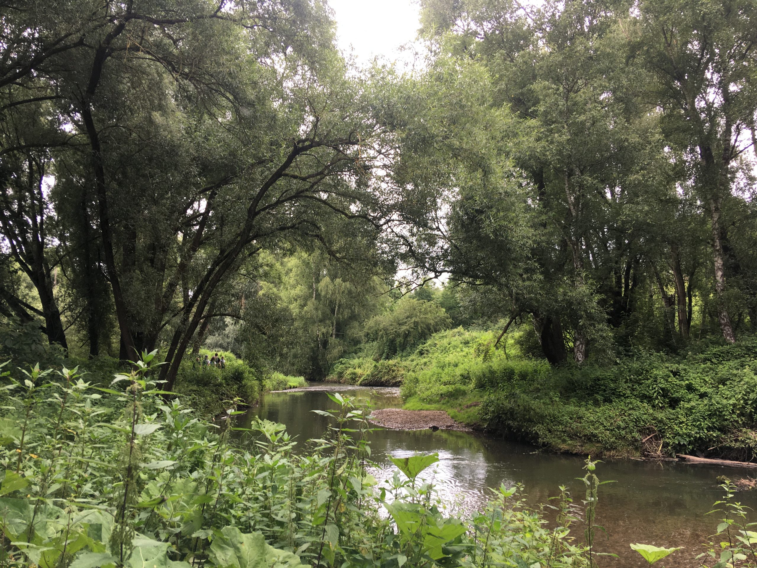 Wochenend-Sommerlager Worm-Wildnis 2021
