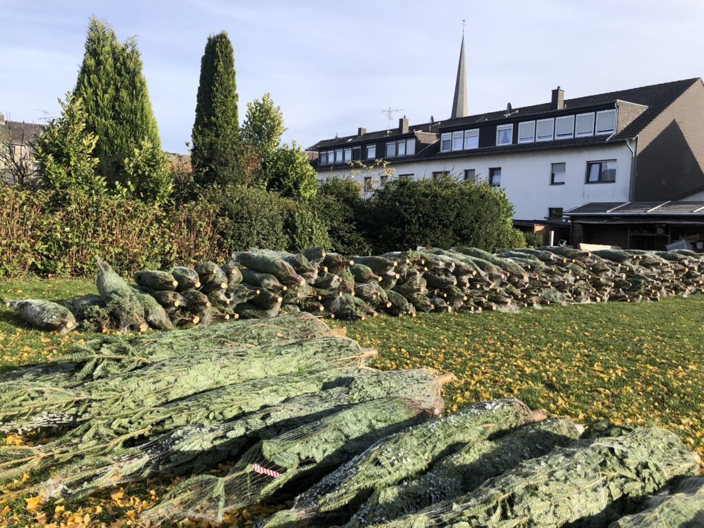 Weihnachtsbaumverkauf 2025