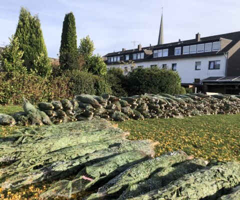 Weihnachtsbaumverkauf 2025